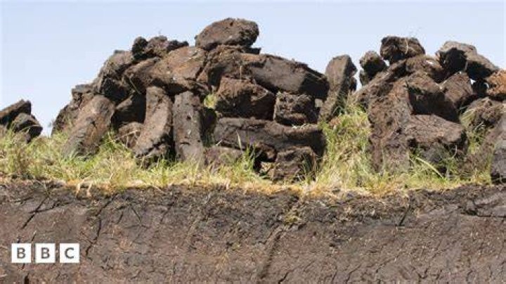 What environmental problem does peat harvesting cause
