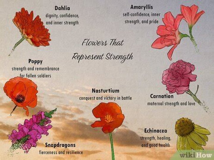 What flower symbolizes masculinity
