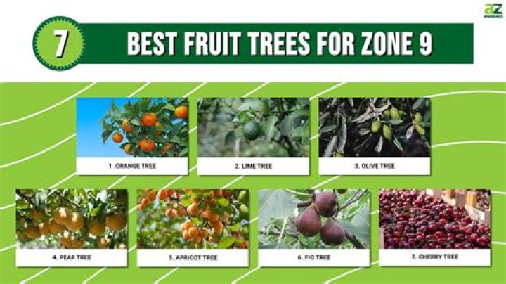 What grows best in zone 9a