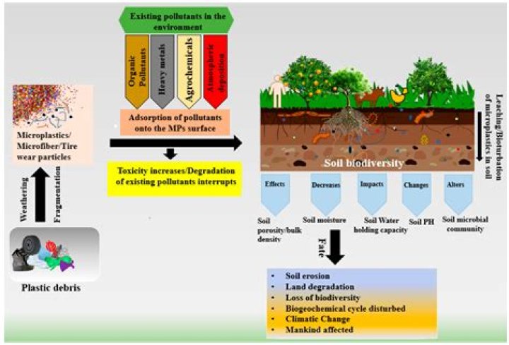 What happens when soil is contaminated
