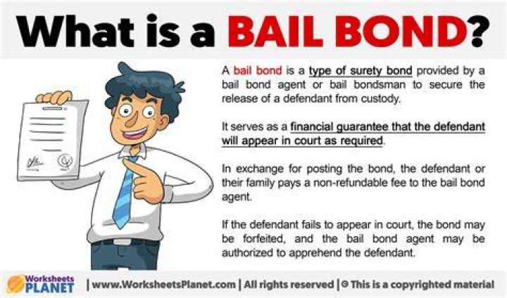 What information does a bail bondsman need