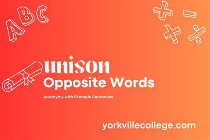What is a antonym for unison