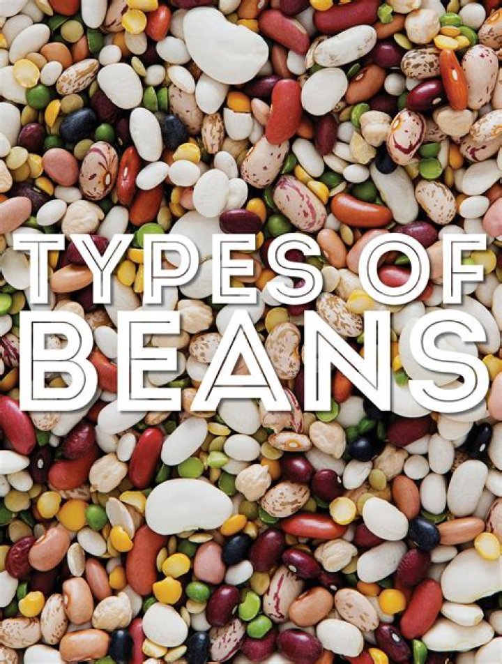 What is a bean factory