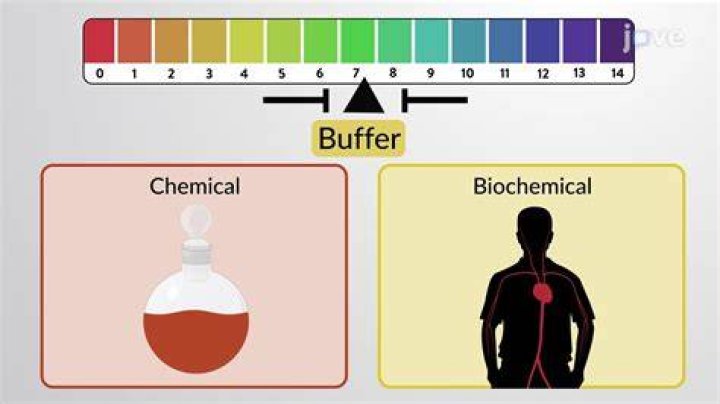 What is a buffer in blood
