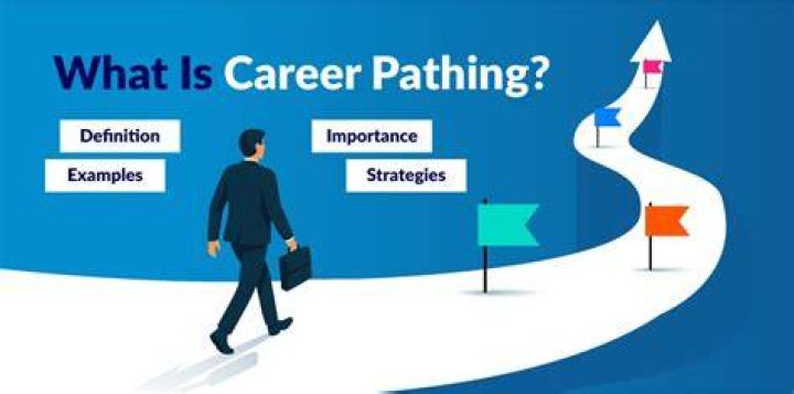 What is a career project