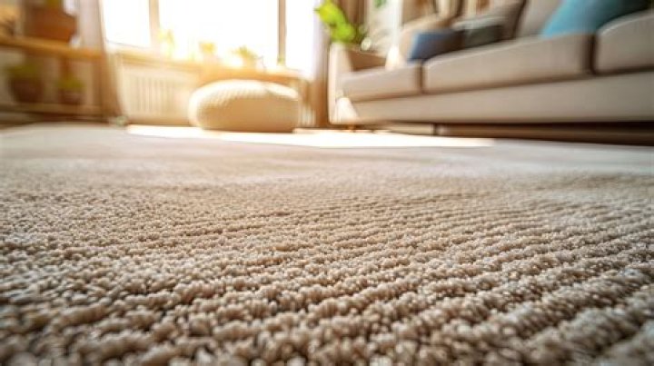What is a carpet Bager