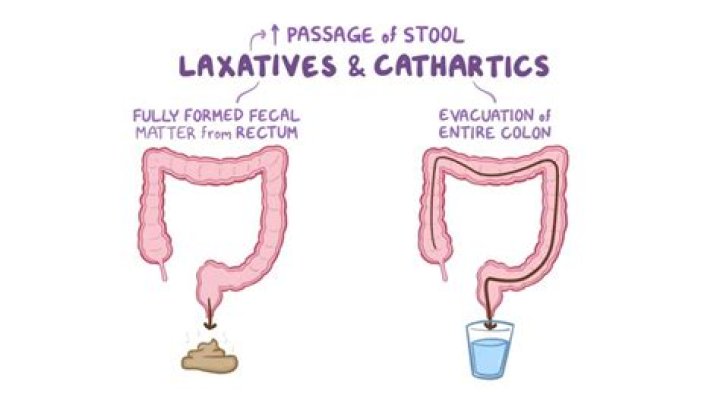 What is a cathartic colon