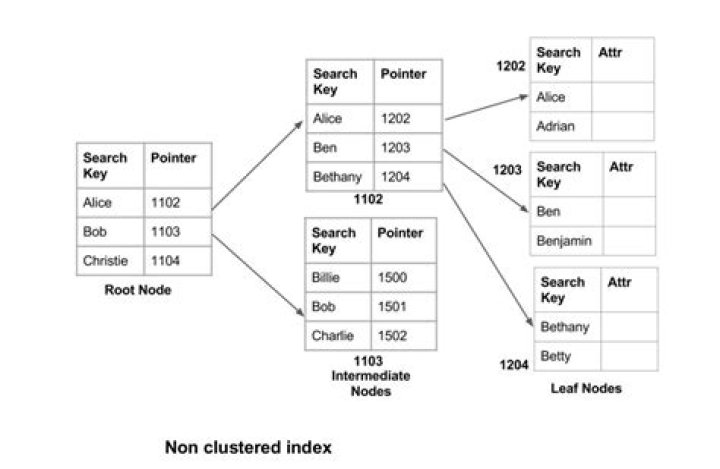 What is a Clustered Index Scan