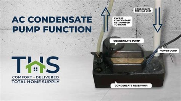 What is a condensate siphon