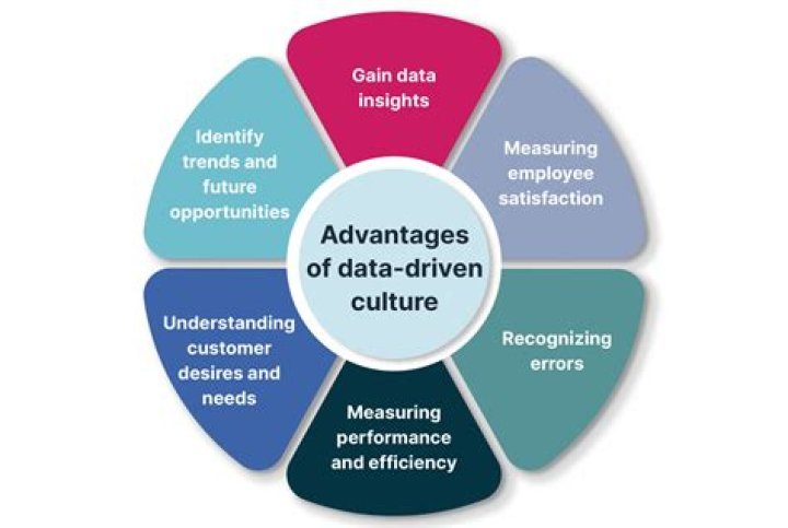 What is a data driven culture