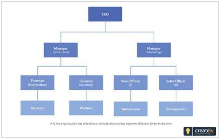 What is a line Organisation