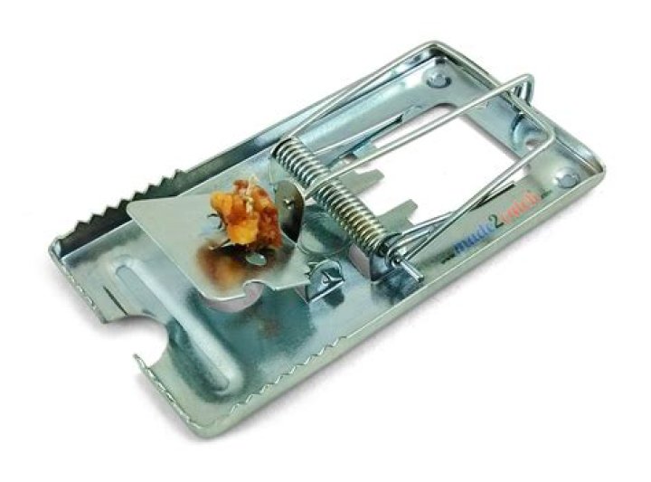 What is a mouse snap trap