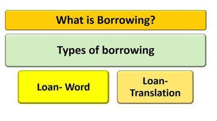 What is a non borrowing owner