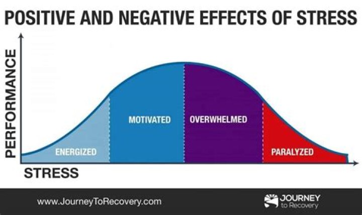 What is a positive and negative stress