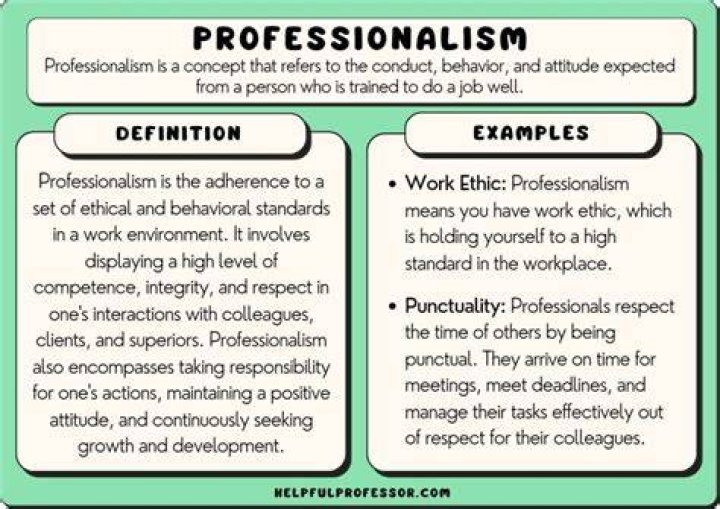 What is a professional schedule