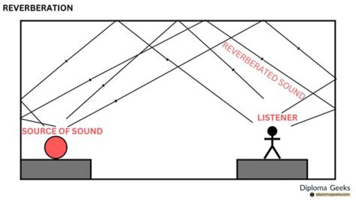 What is a reverberating circuit