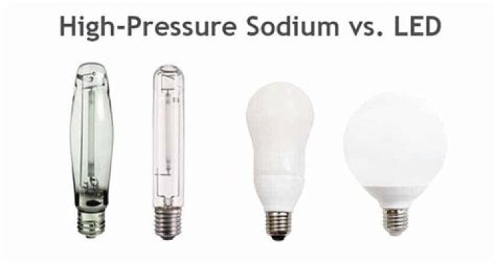 What is a sodium light bulb