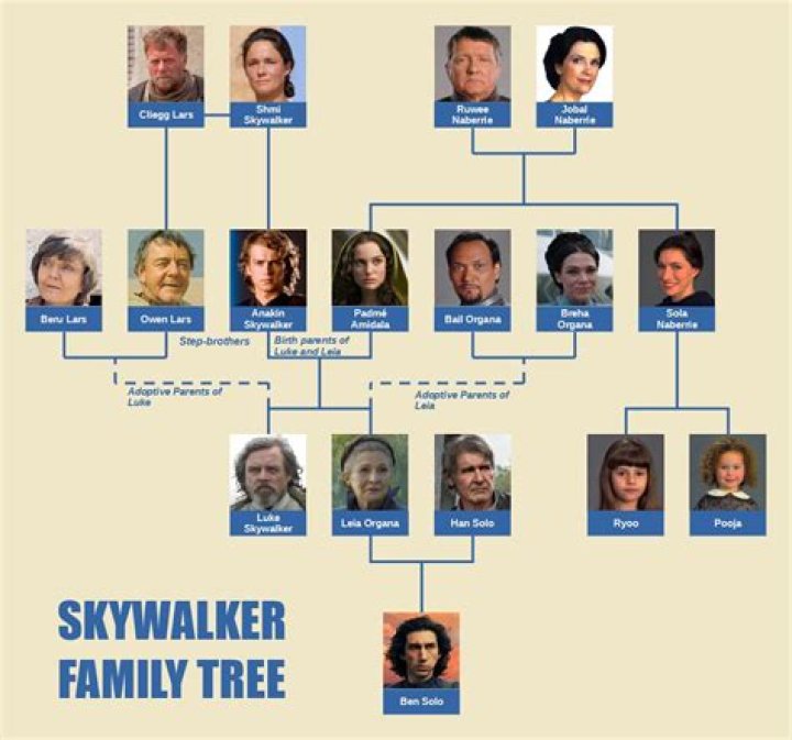 What is a star tree