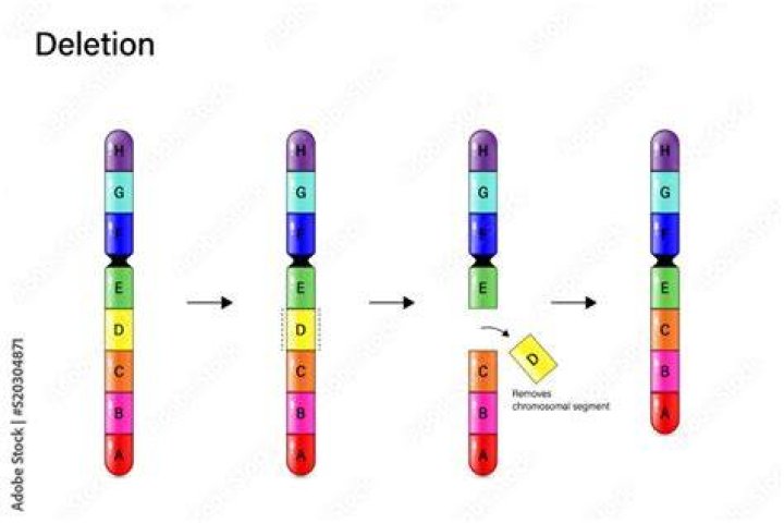What is a terminal deletion definition