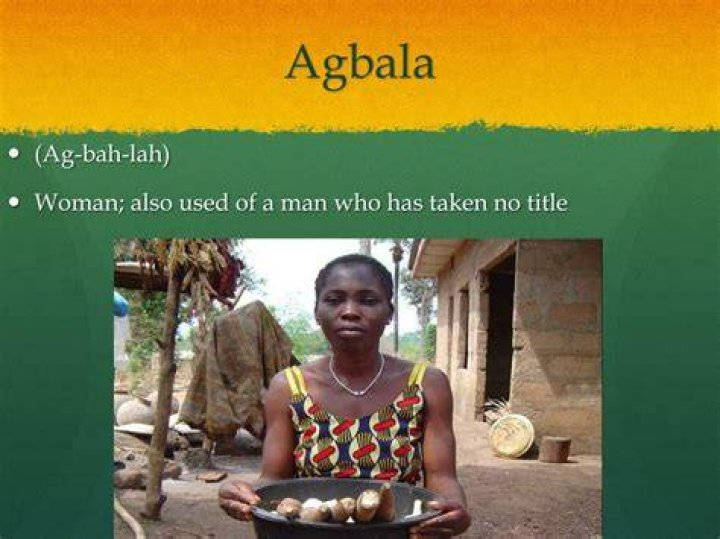 What is an Efulefu in things fall apart