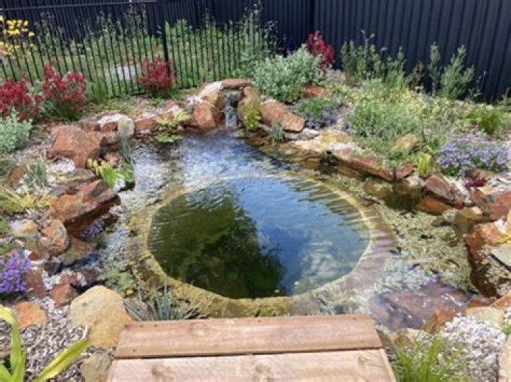 What is an ionised pool