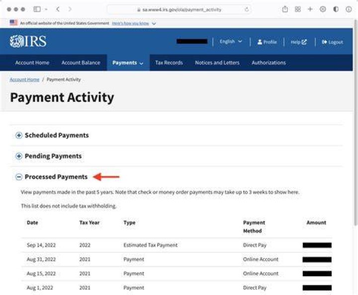 What is an IRS Business Activity Code
