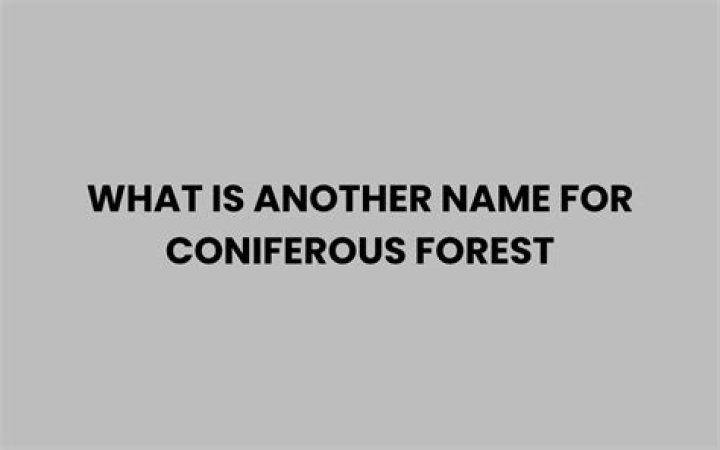 What is another name for coniferous forest