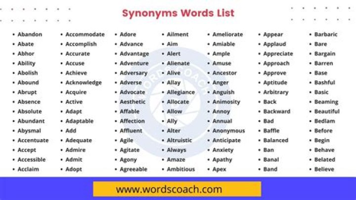 What is another word for aorta