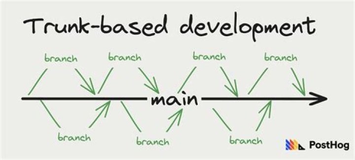 What is Branch programming