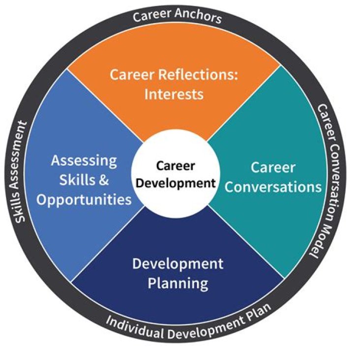 What is career development for employees