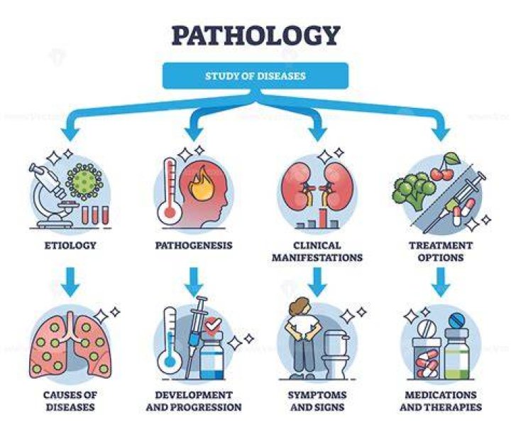 What is CD in pathology