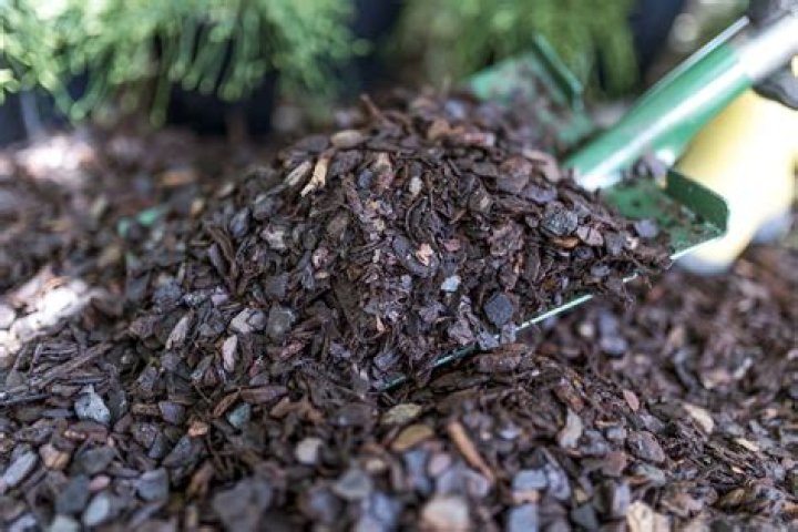 What is cedar blend mulch
