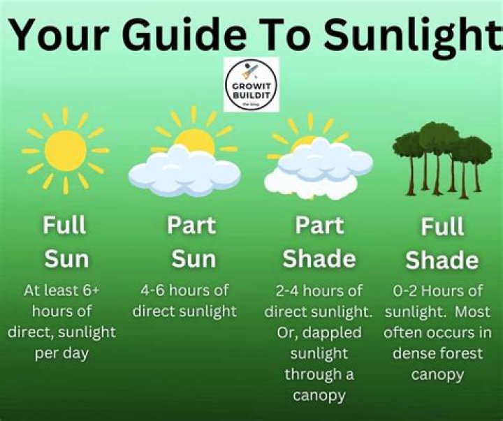 What is considered partial shade