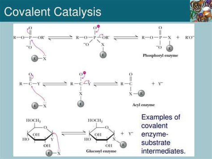 What is covalent catalysis