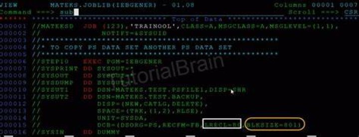 What is DCB in JCL