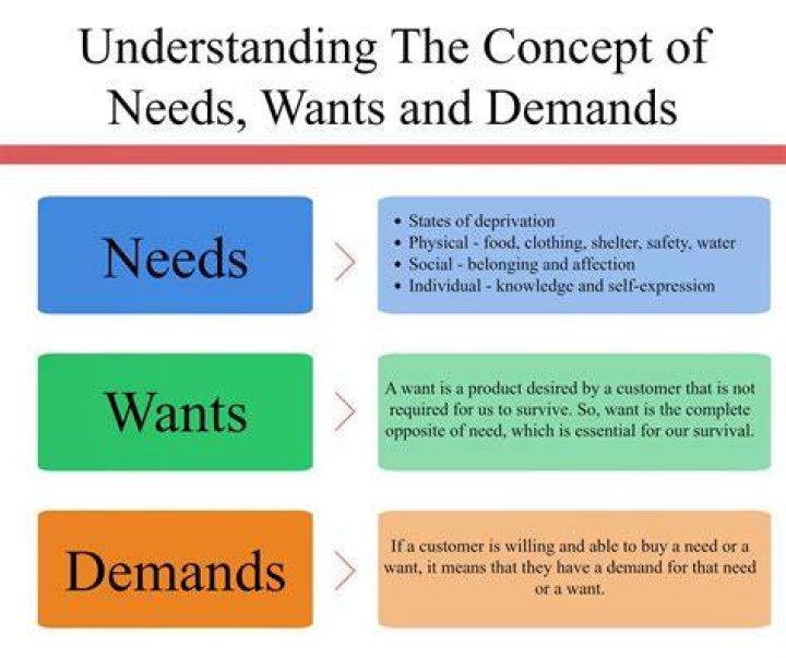 What is difference between needs/wants and demands