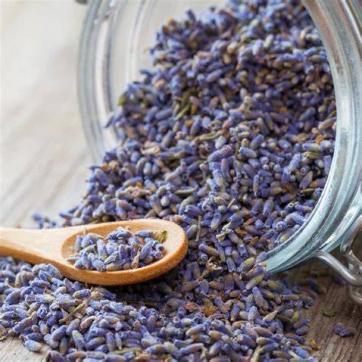 What is dried culinary lavender