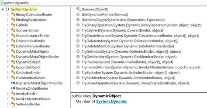 What is dynamic language