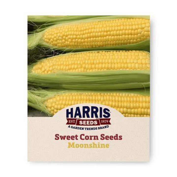 What is f1 corn seed
