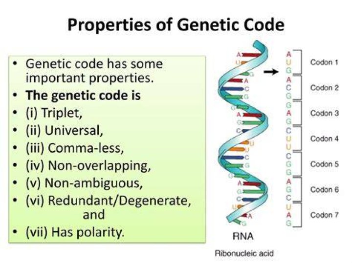 What is genetic code and its properties