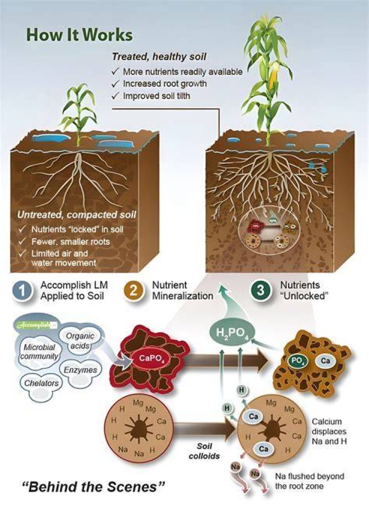 What is good soil tilth