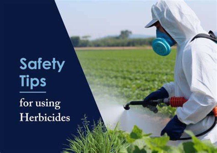 What is Herbicide burn