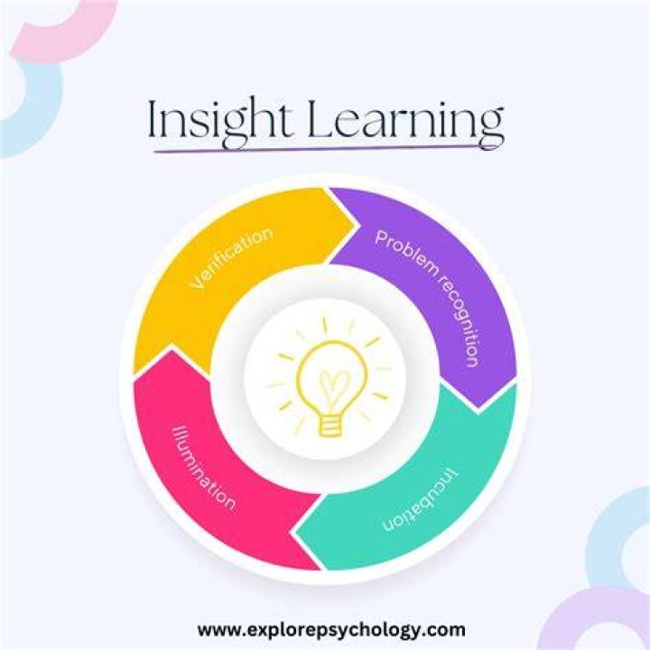 What is insight theory