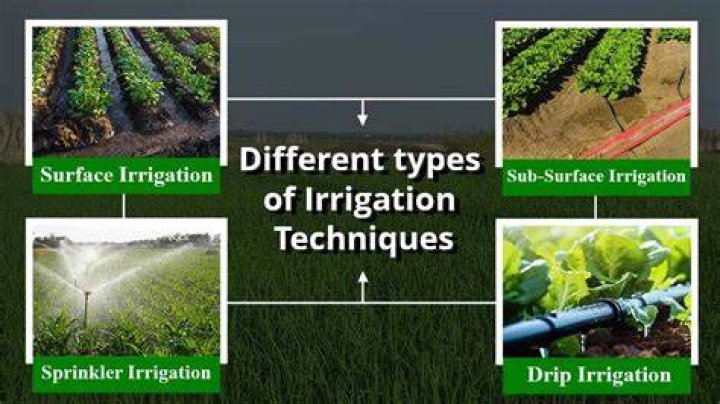 What is irrigation process