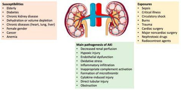 What is kidney debris
