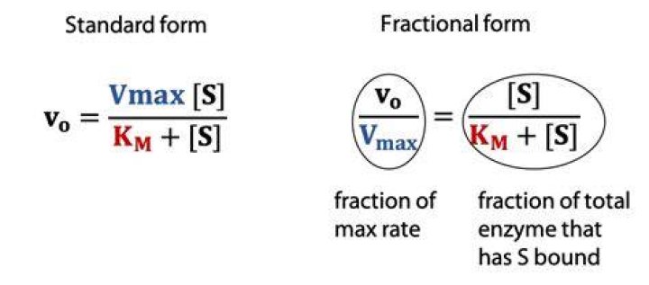 What is Km and Vmax definition