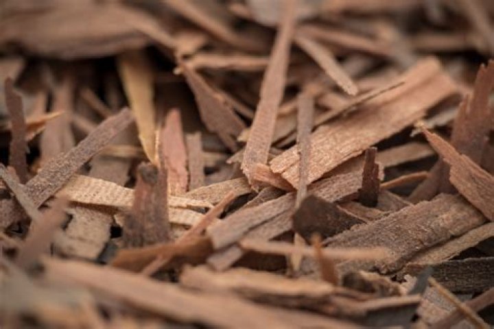 What is lapacho tea good for