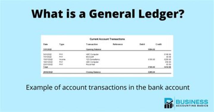 What is Ledger and format