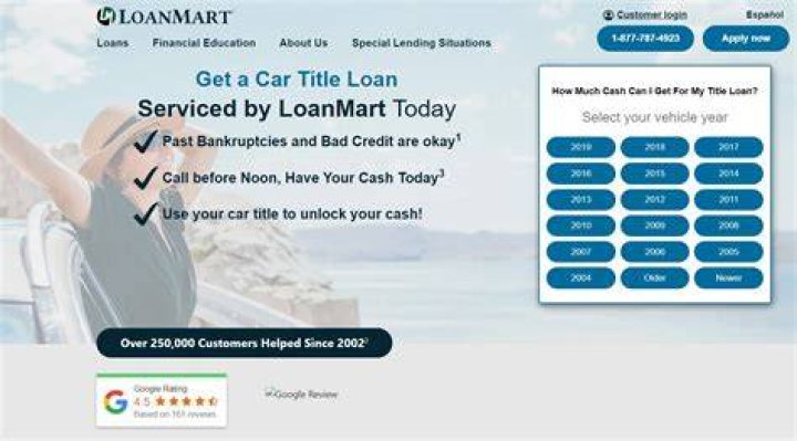 What is LoanMart