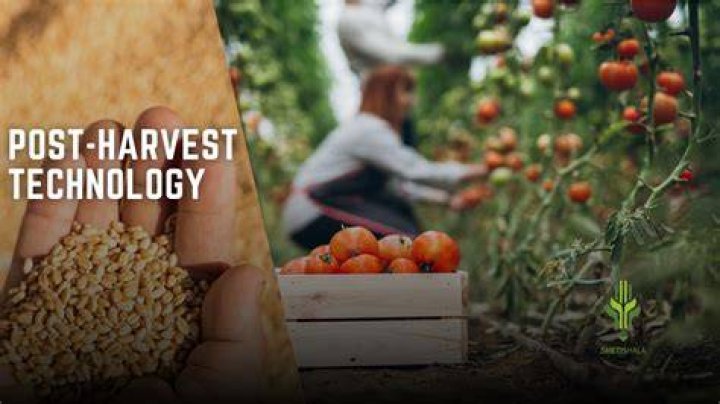 What is mean by post harvest technology